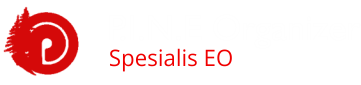 P.I.N.E Organizer